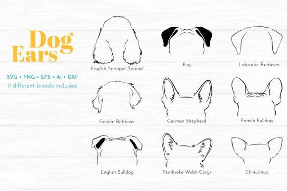 Dog Ear Illustration Collection